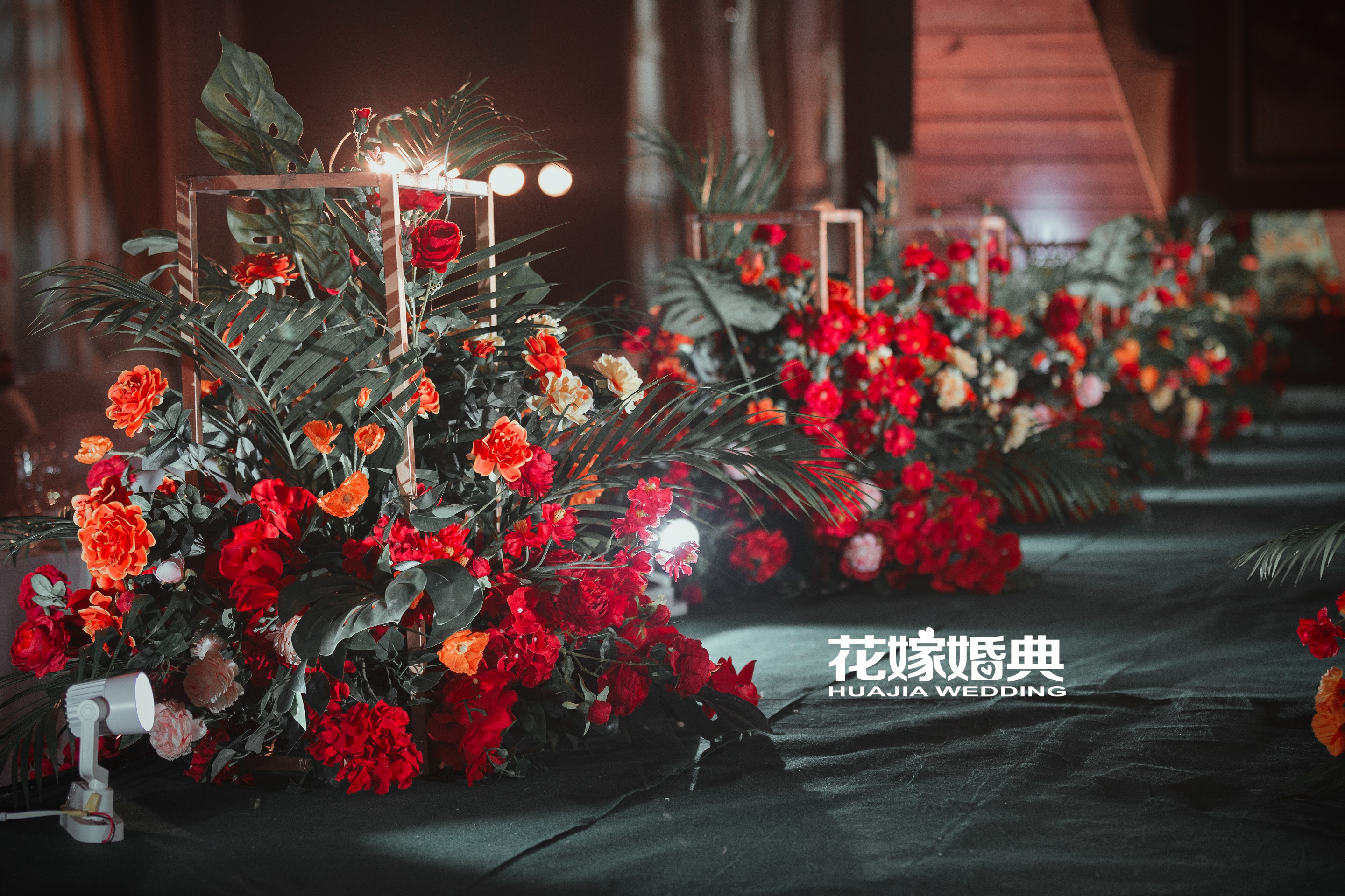 愛(ài)上紅薔薇